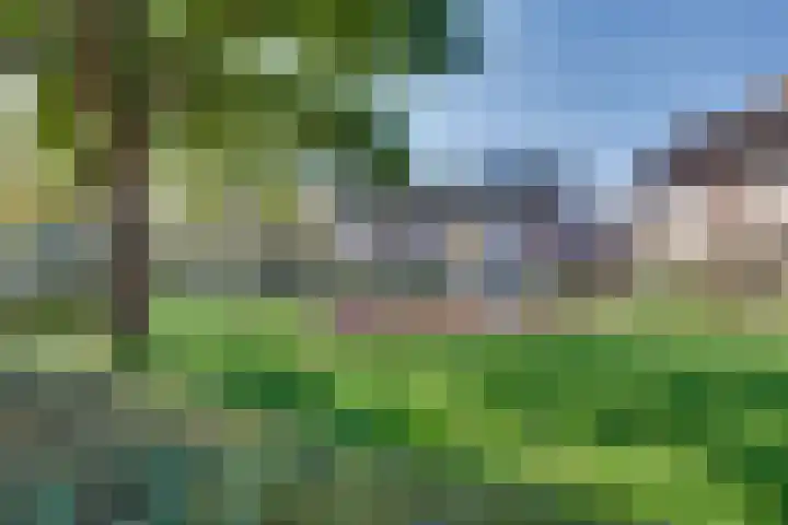 Blokpolder 45 's-Hertogenbosch thumbnail 23