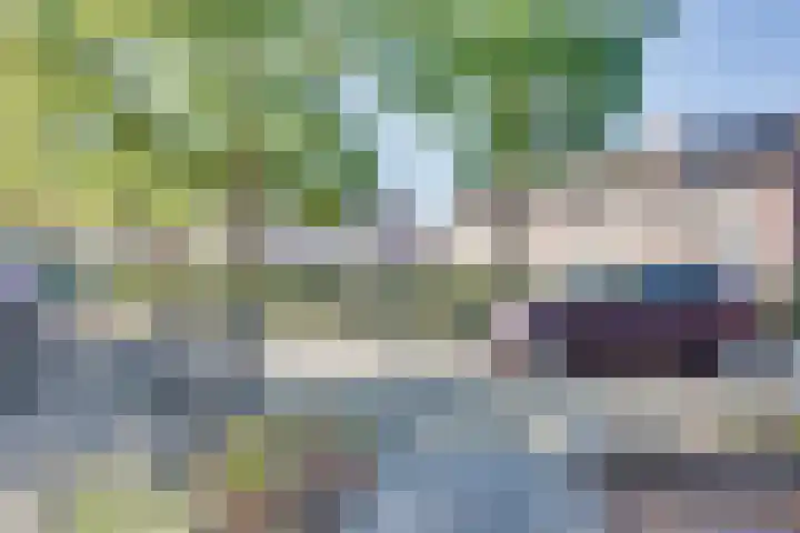 Blokpolder 45 's-Hertogenbosch thumbnail 24