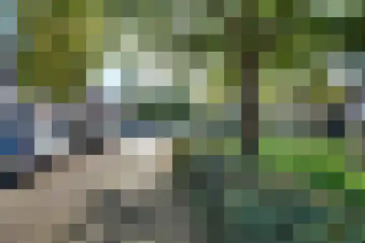 Blokpolder 45 's-Hertogenbosch thumbnail 25