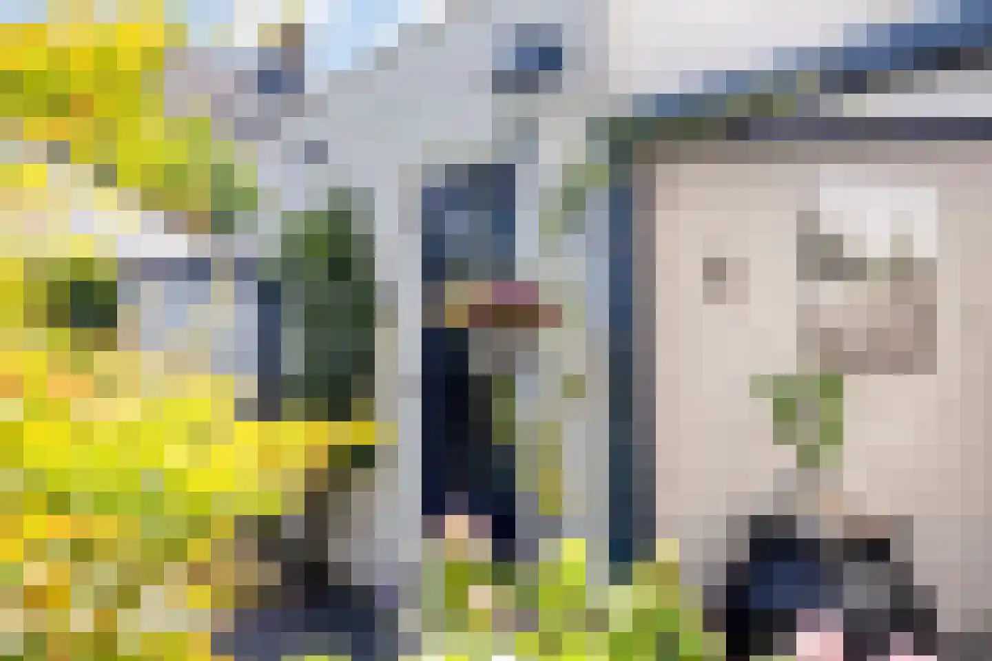 Blokskenserf 27 Helmond thumbnail 40