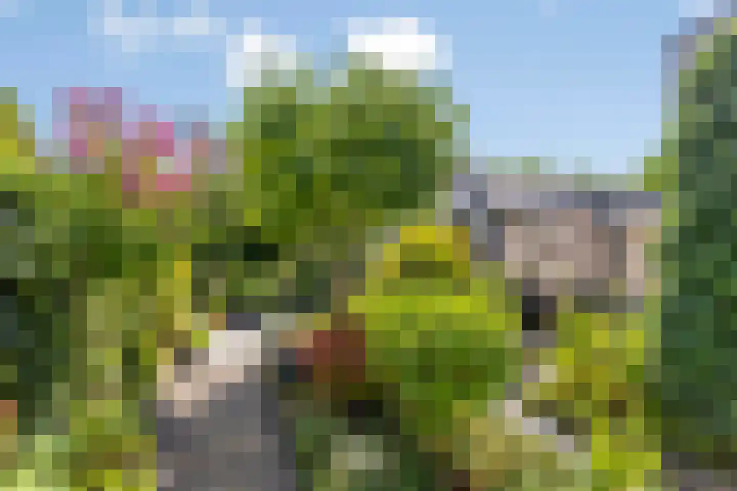 Blokskenserf 27 Helmond thumbnail 6