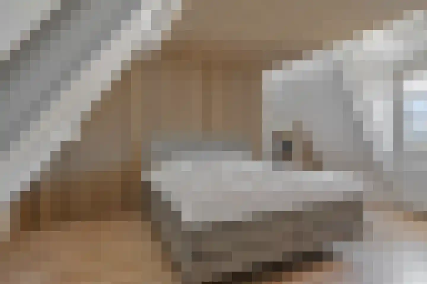 Blokskenserf 29 Helmond thumbnail 30