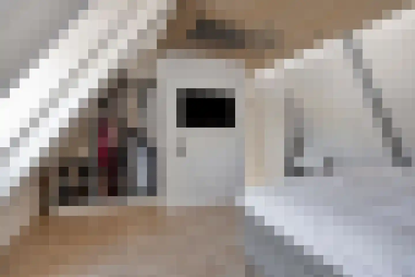 Blokskenserf 29 Helmond thumbnail 31