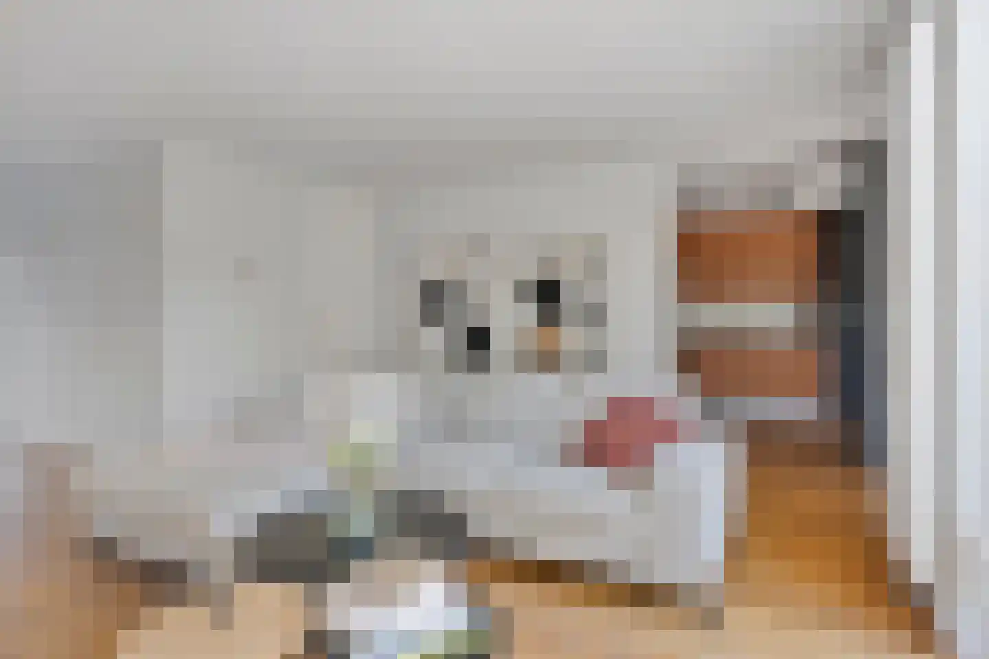 Blokskenserf 29 Helmond thumbnail 8
