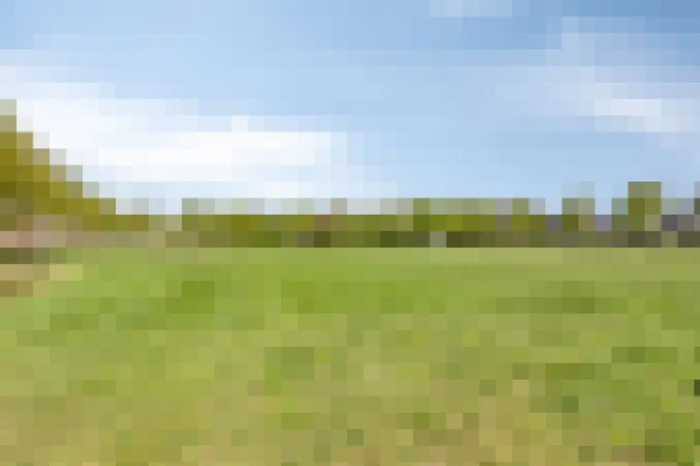 Blokskenserf 31 Helmond thumbnail 43
