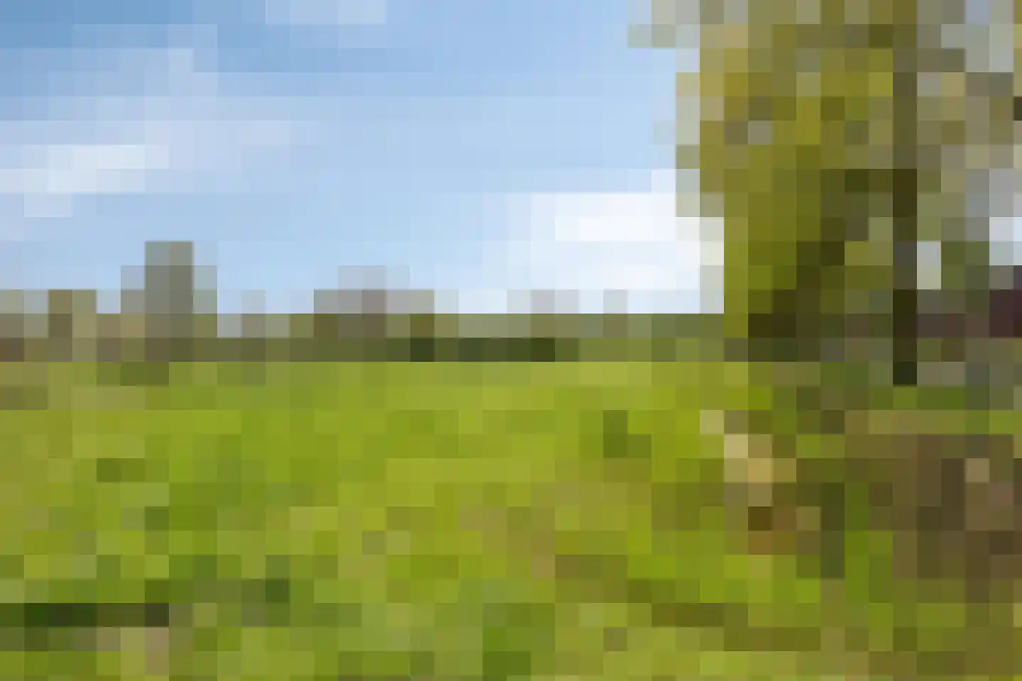 Blokskenserf 31 Helmond thumbnail 44