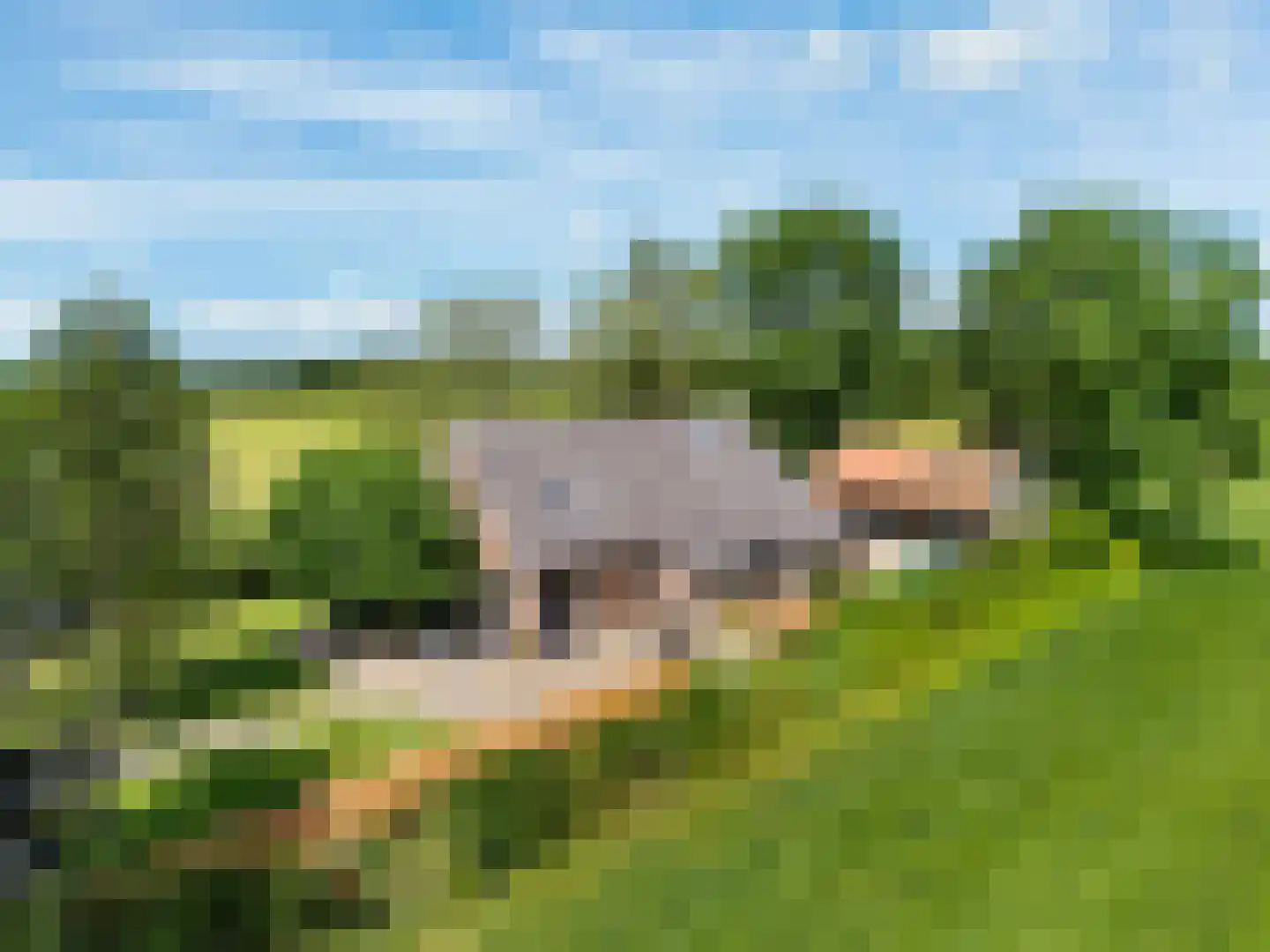 Bloksreed 2 in Jubbega