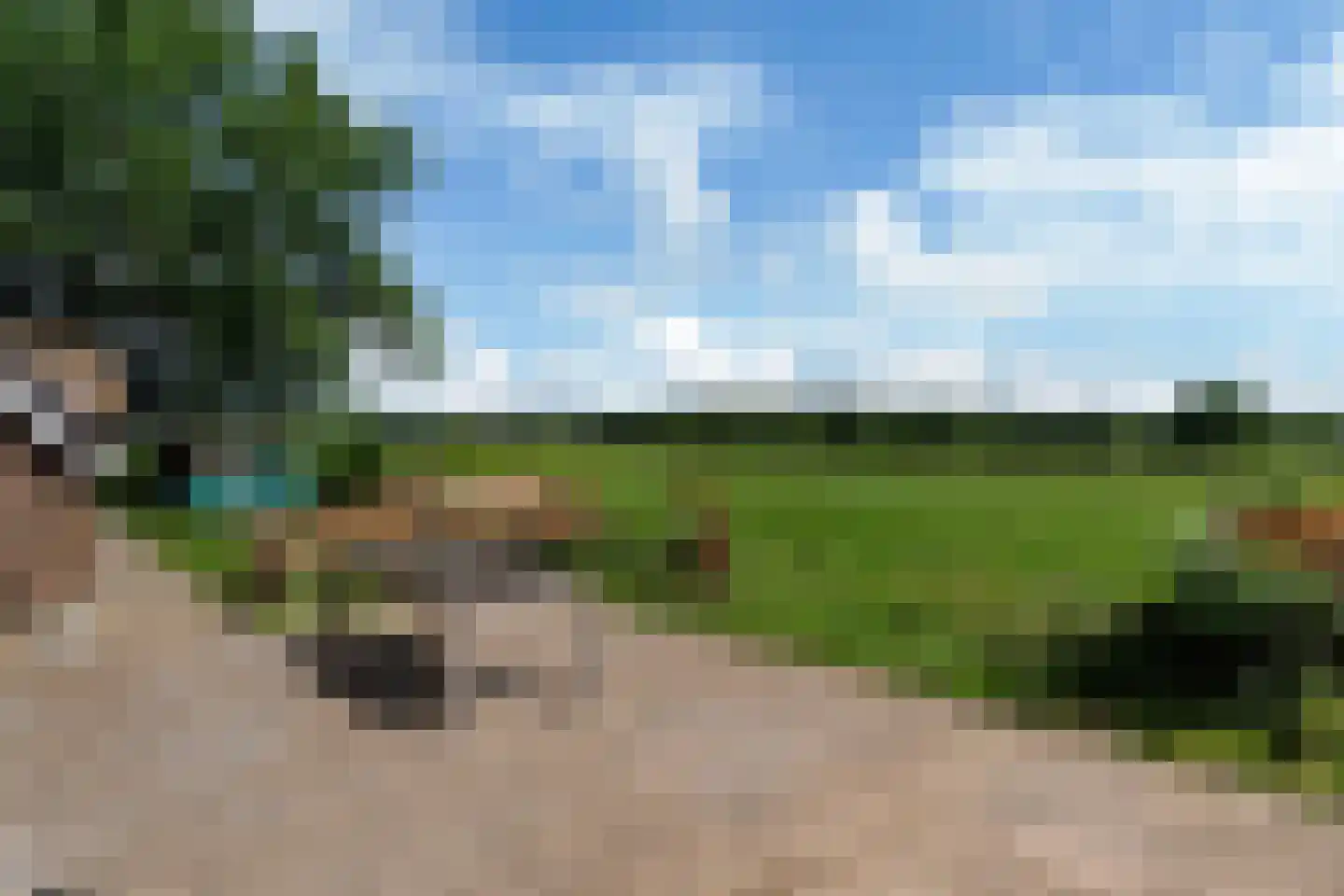 Bloksreed 2 Jubbega thumbnail 10