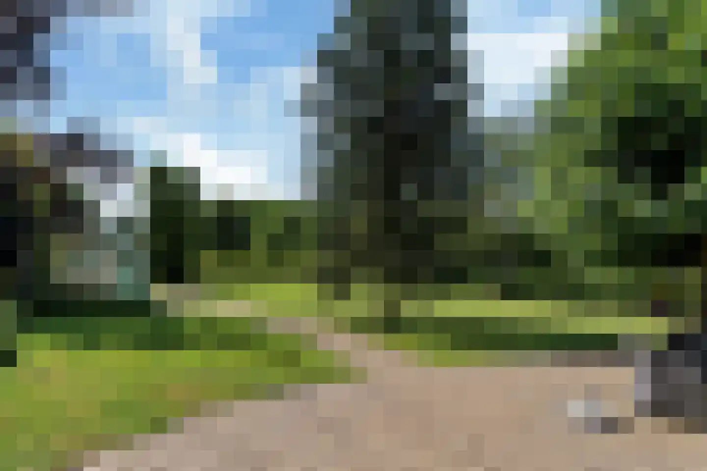 Bloksreed 2 Jubbega thumbnail 11