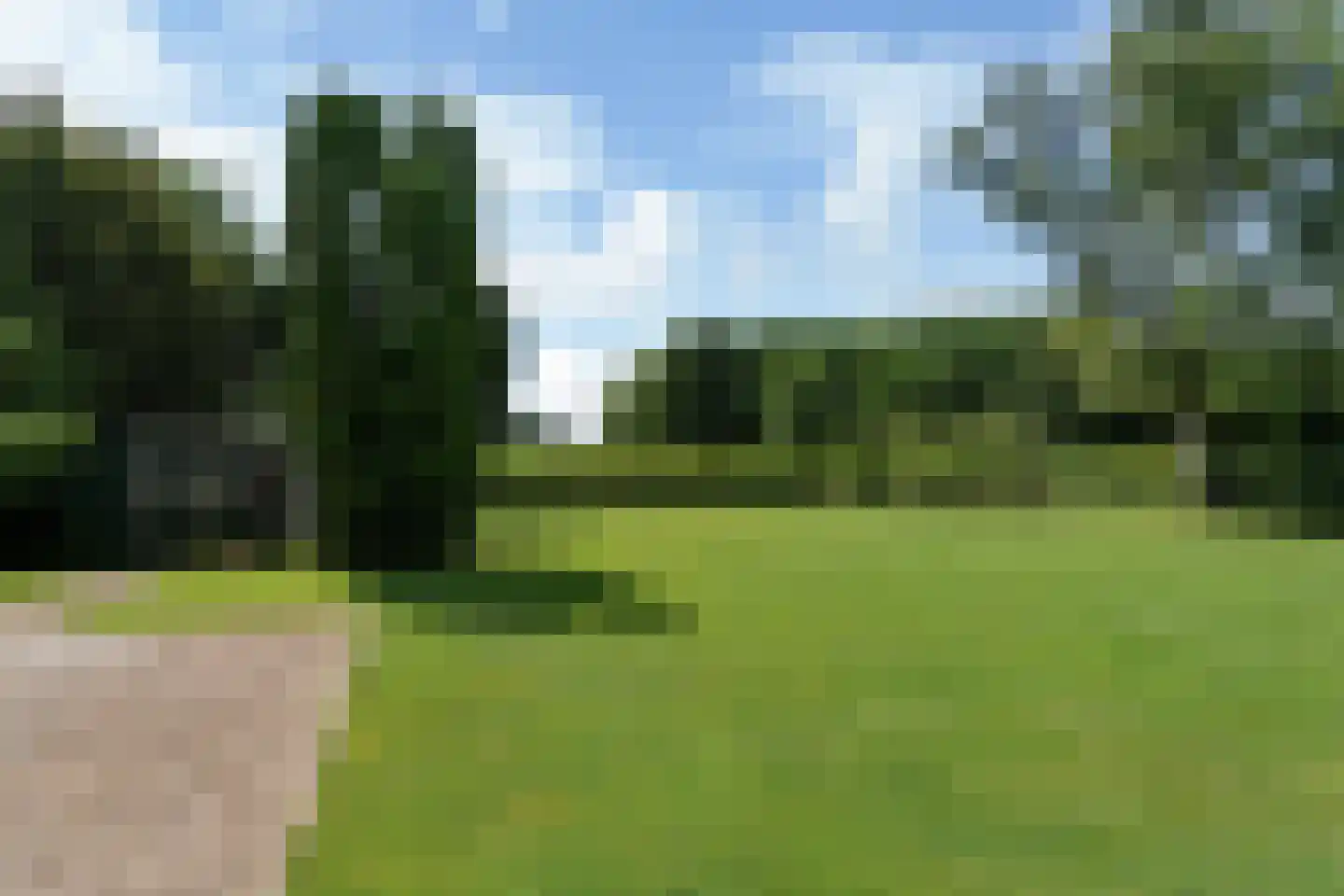 Bloksreed 2 Jubbega thumbnail 12