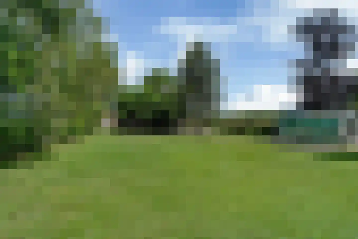 Bloksreed 2 Jubbega thumbnail 13