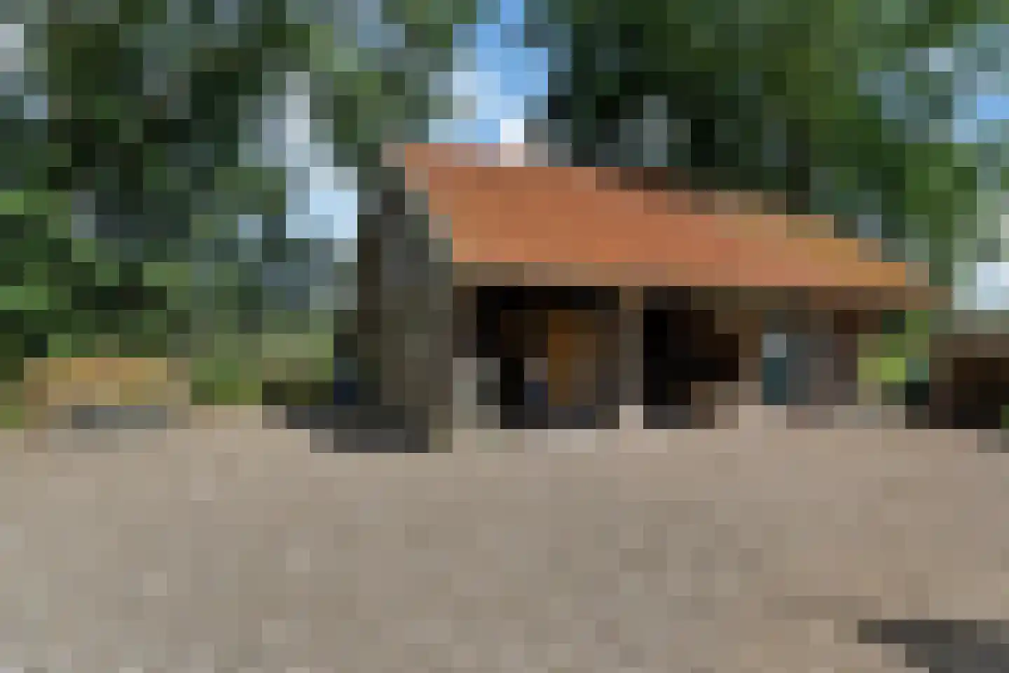 Bloksreed 2 Jubbega thumbnail 14