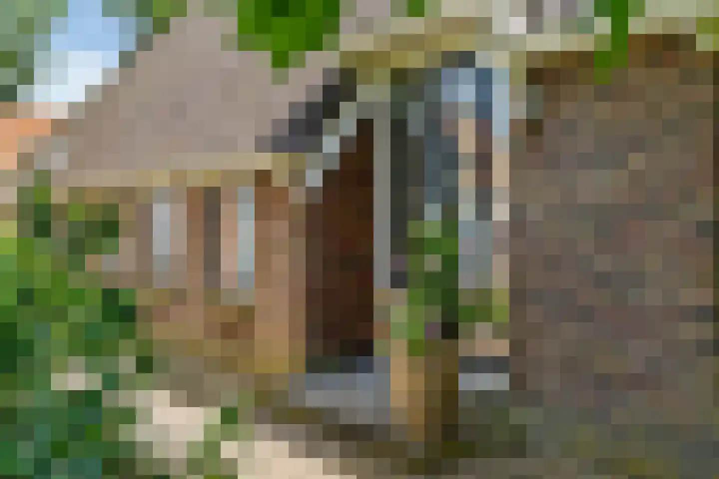 Bloksreed 2 Jubbega thumbnail 16