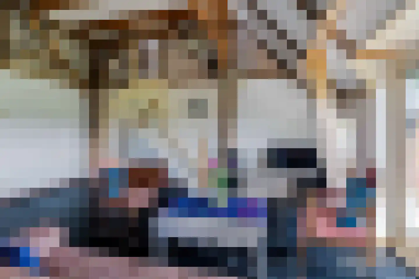 Bloksreed 2 Jubbega thumbnail 19