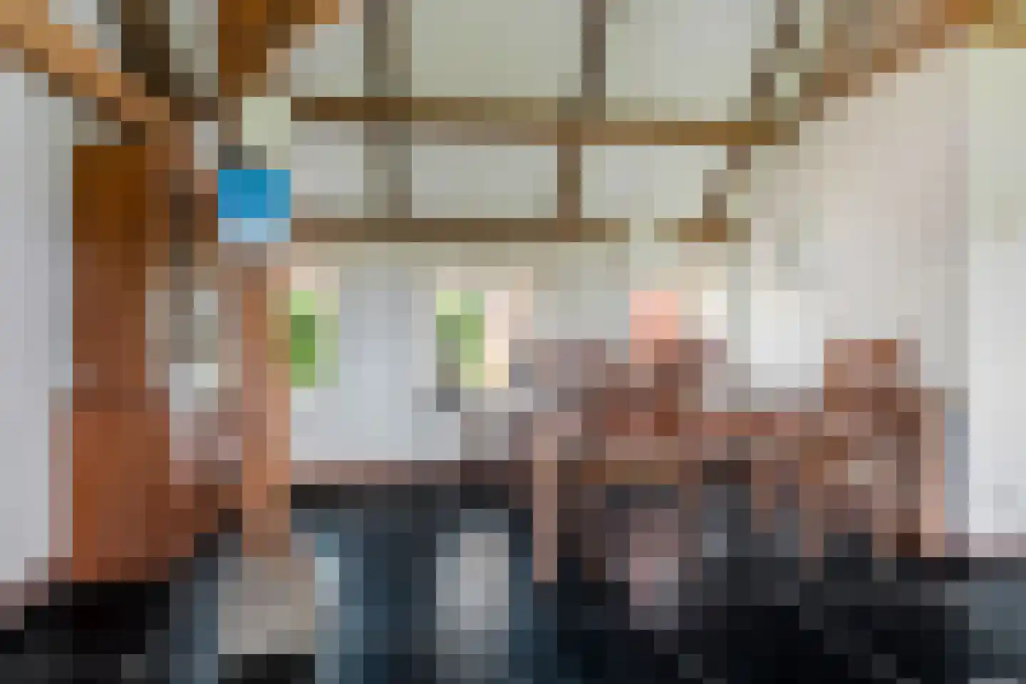 Bloksreed 2 Jubbega thumbnail 21