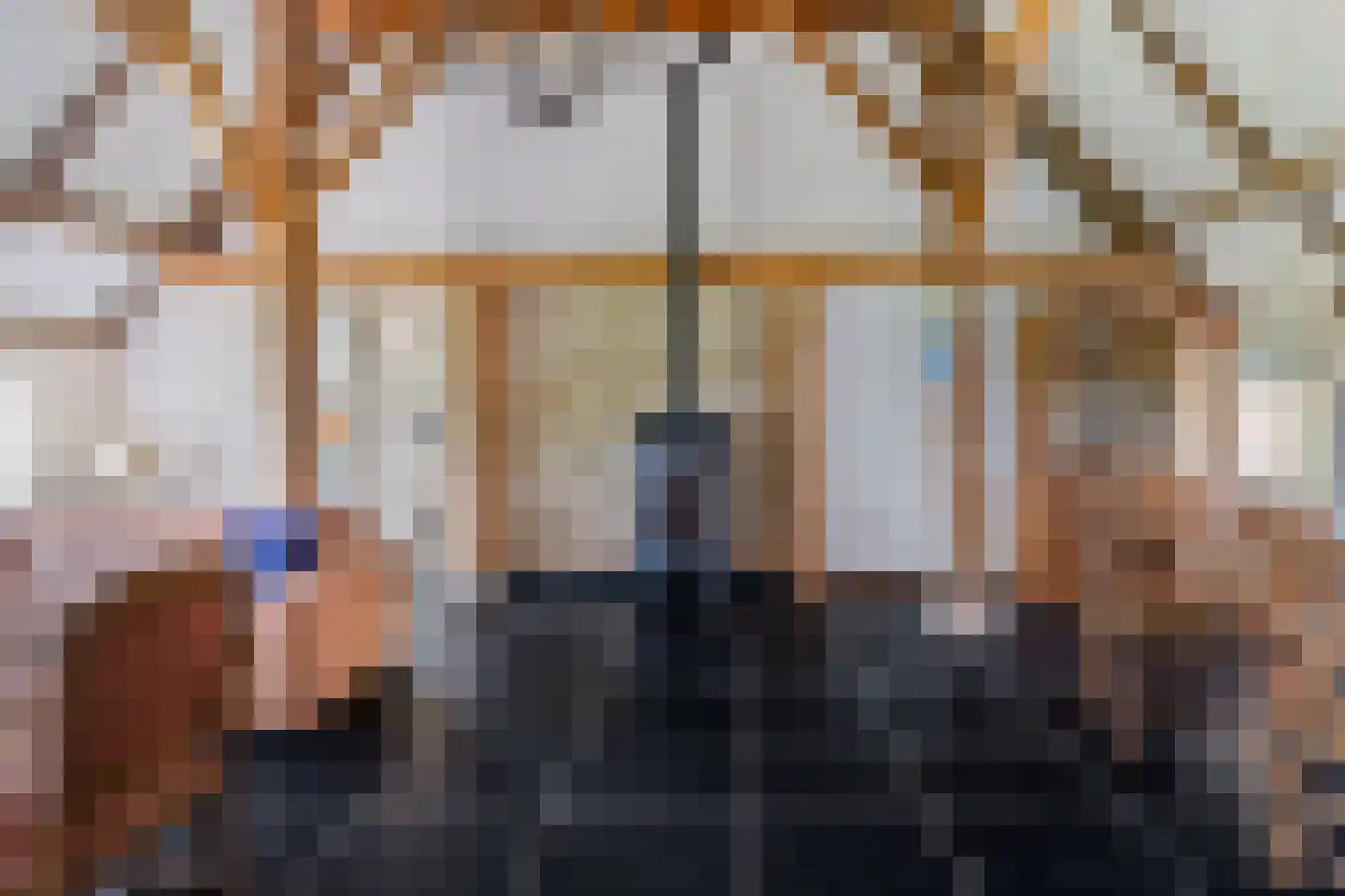 Bloksreed 2 Jubbega thumbnail 22