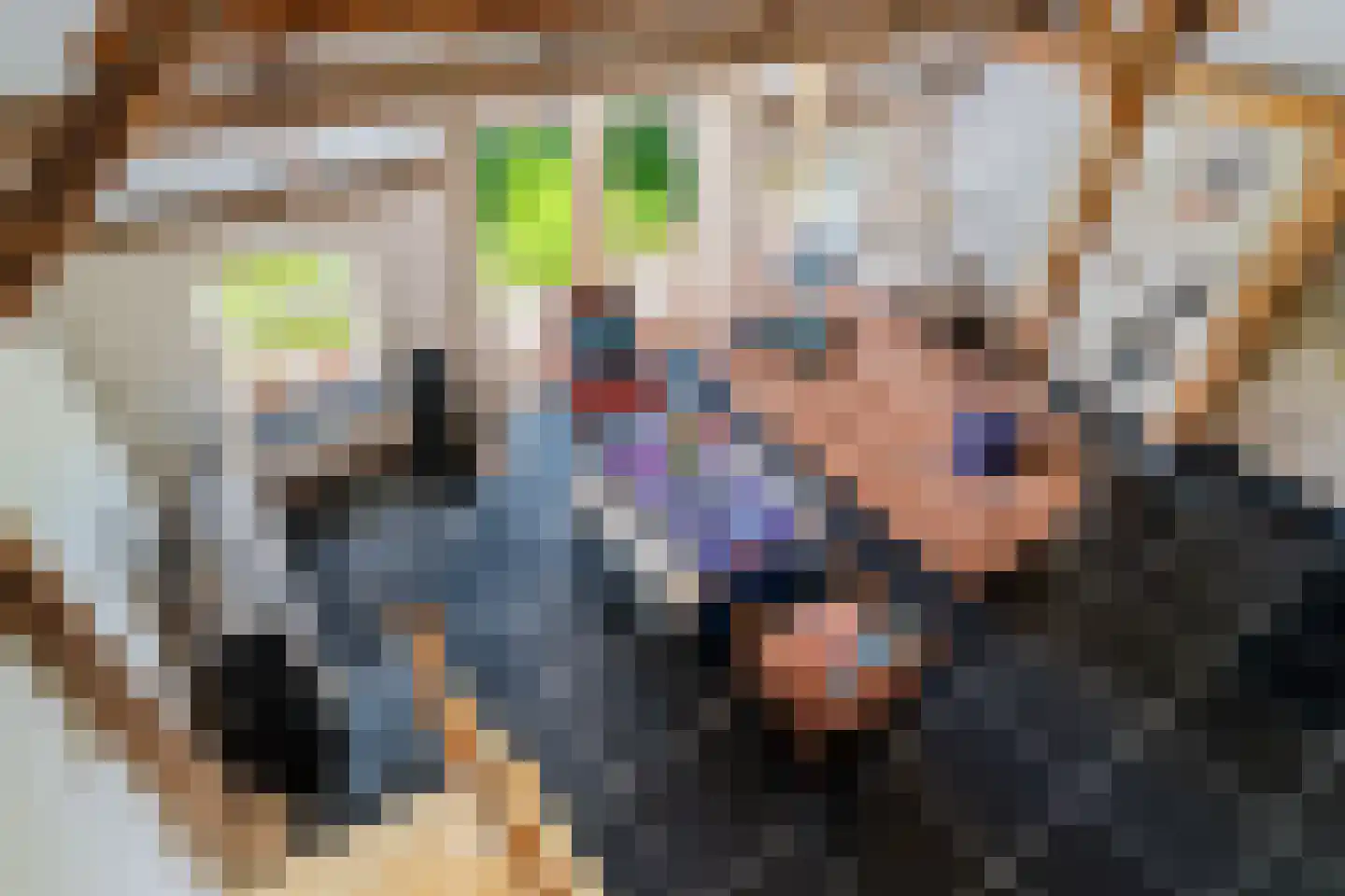 Bloksreed 2 Jubbega thumbnail 23