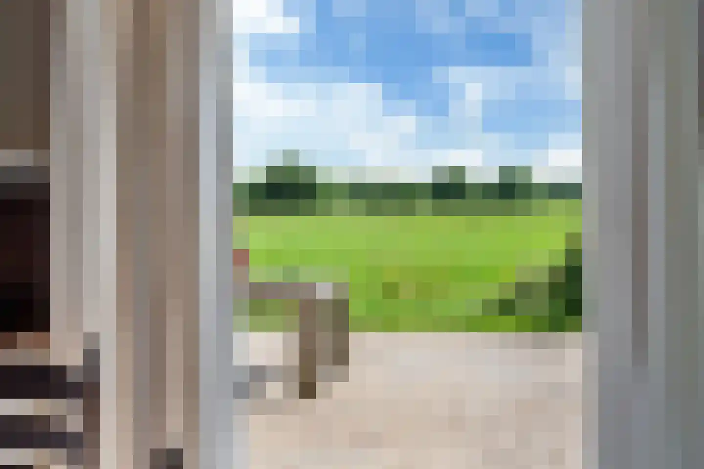Bloksreed 2 Jubbega thumbnail 24