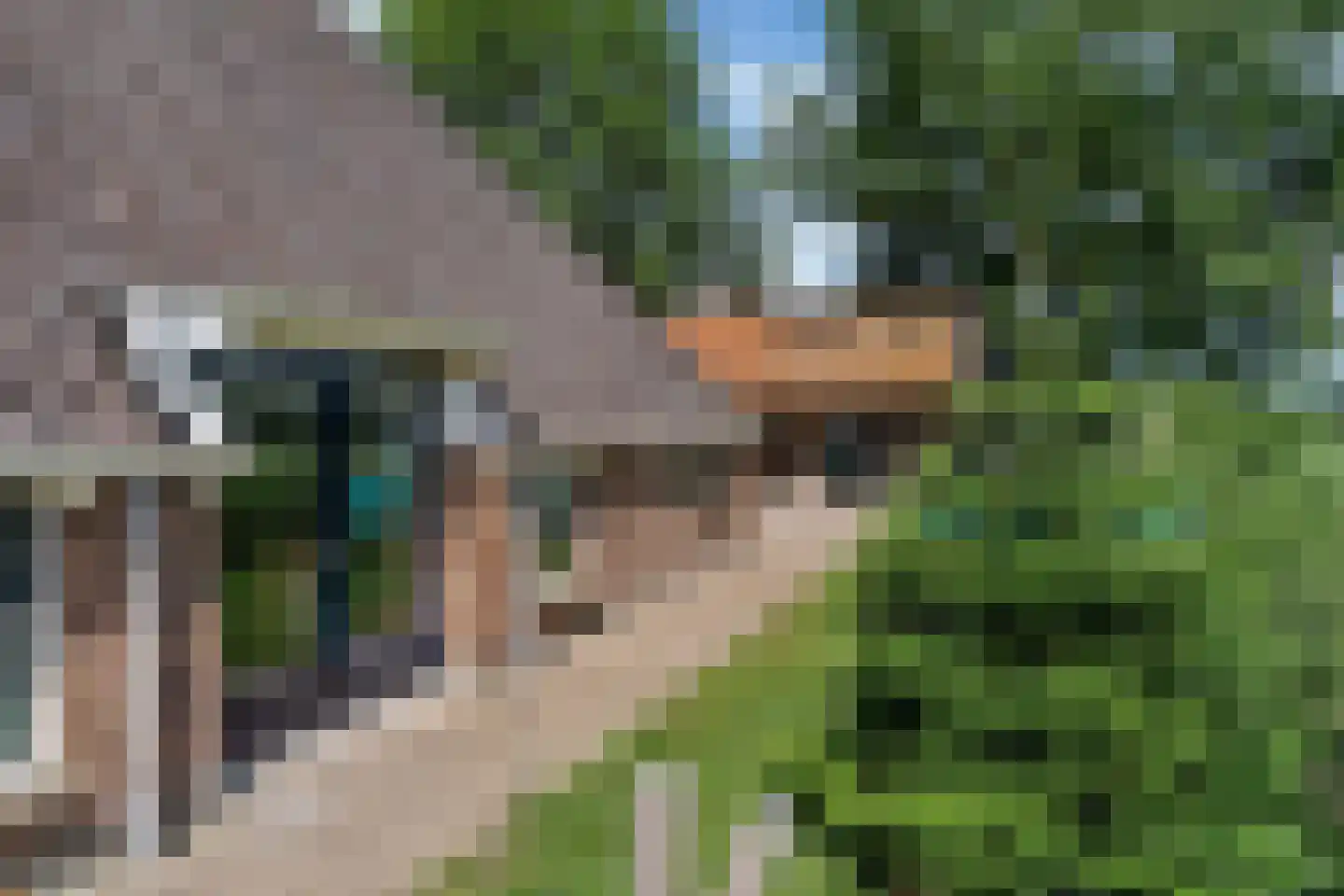 Bloksreed 2 Jubbega thumbnail 25