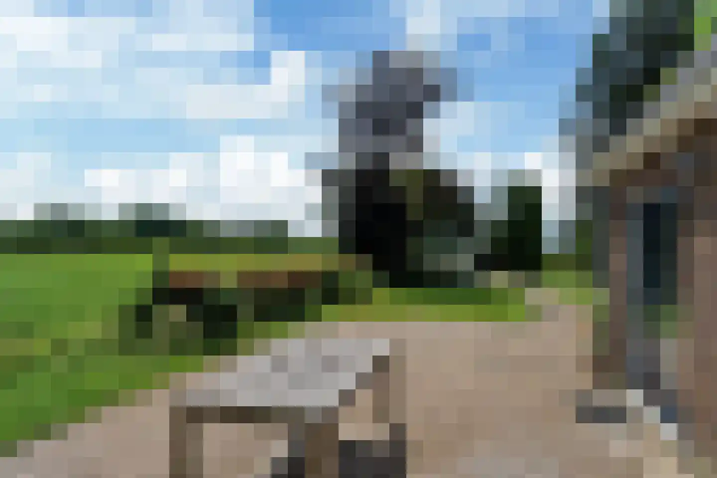 Bloksreed 2 Jubbega thumbnail 26