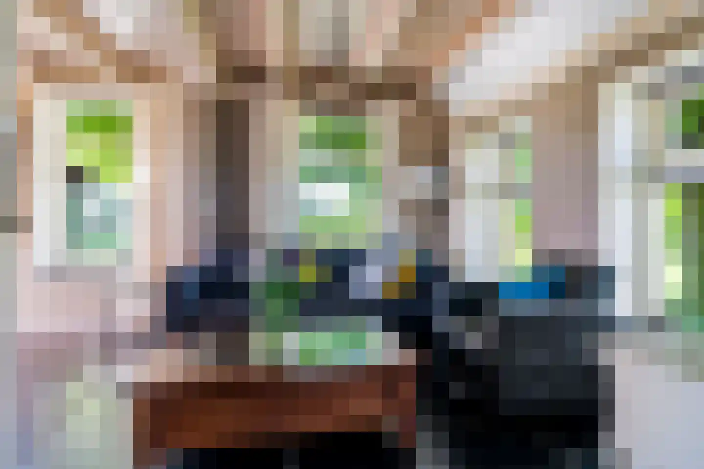 Bloksreed 2 Jubbega thumbnail 27