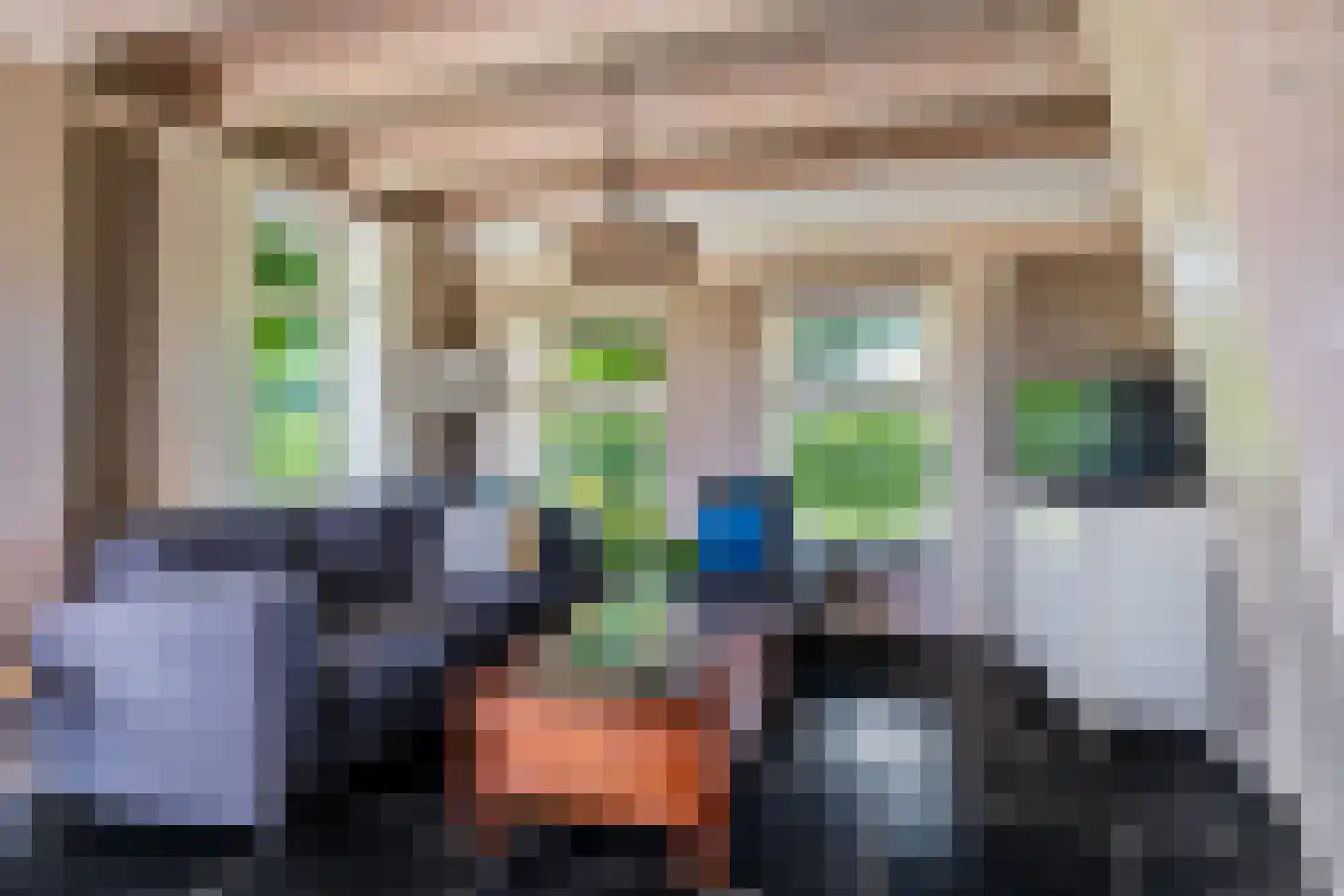 Bloksreed 2 Jubbega thumbnail 28