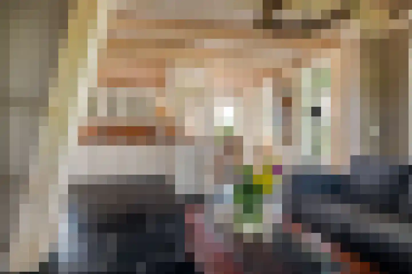 Bloksreed 2 Jubbega thumbnail 29