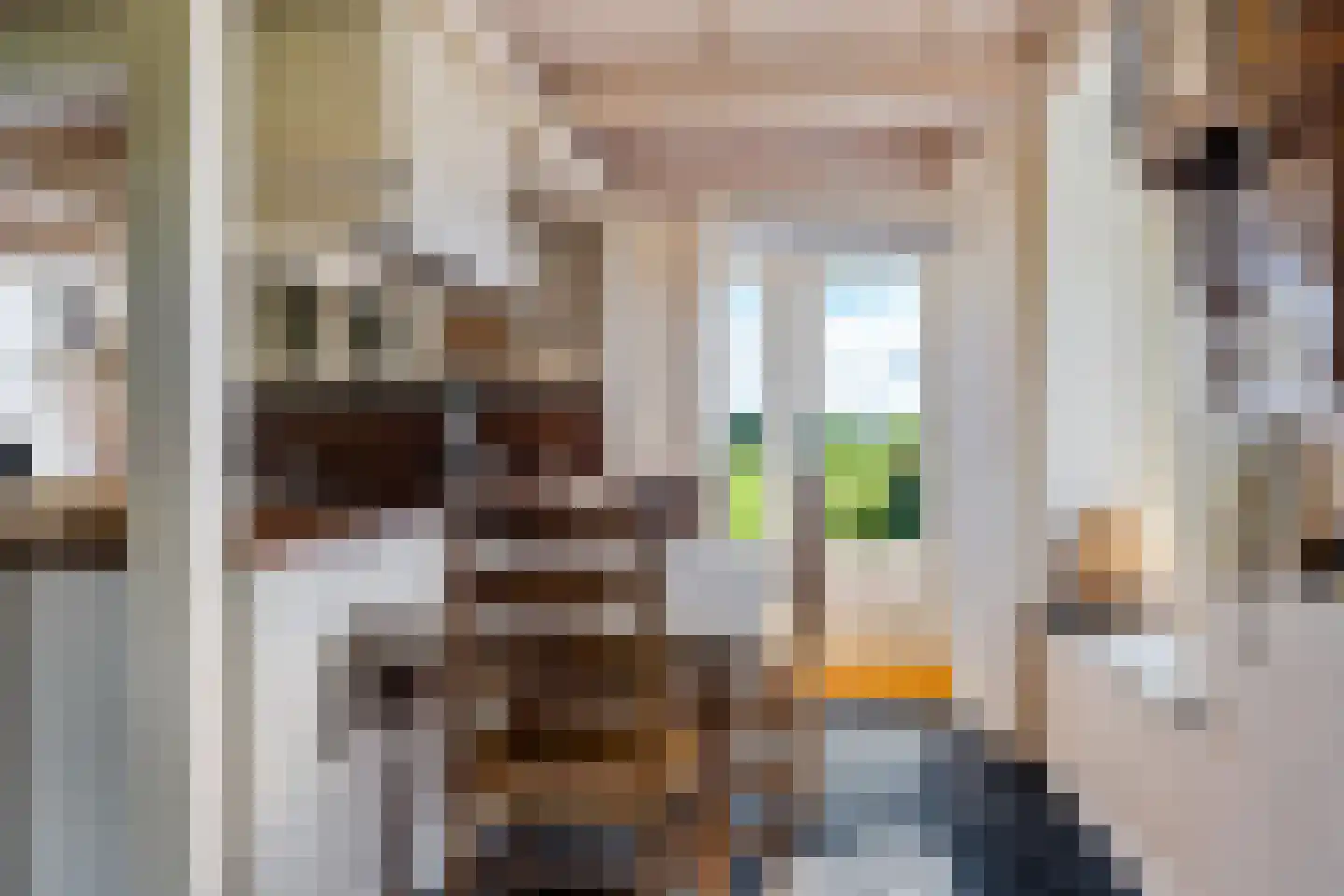 Bloksreed 2 Jubbega thumbnail 30