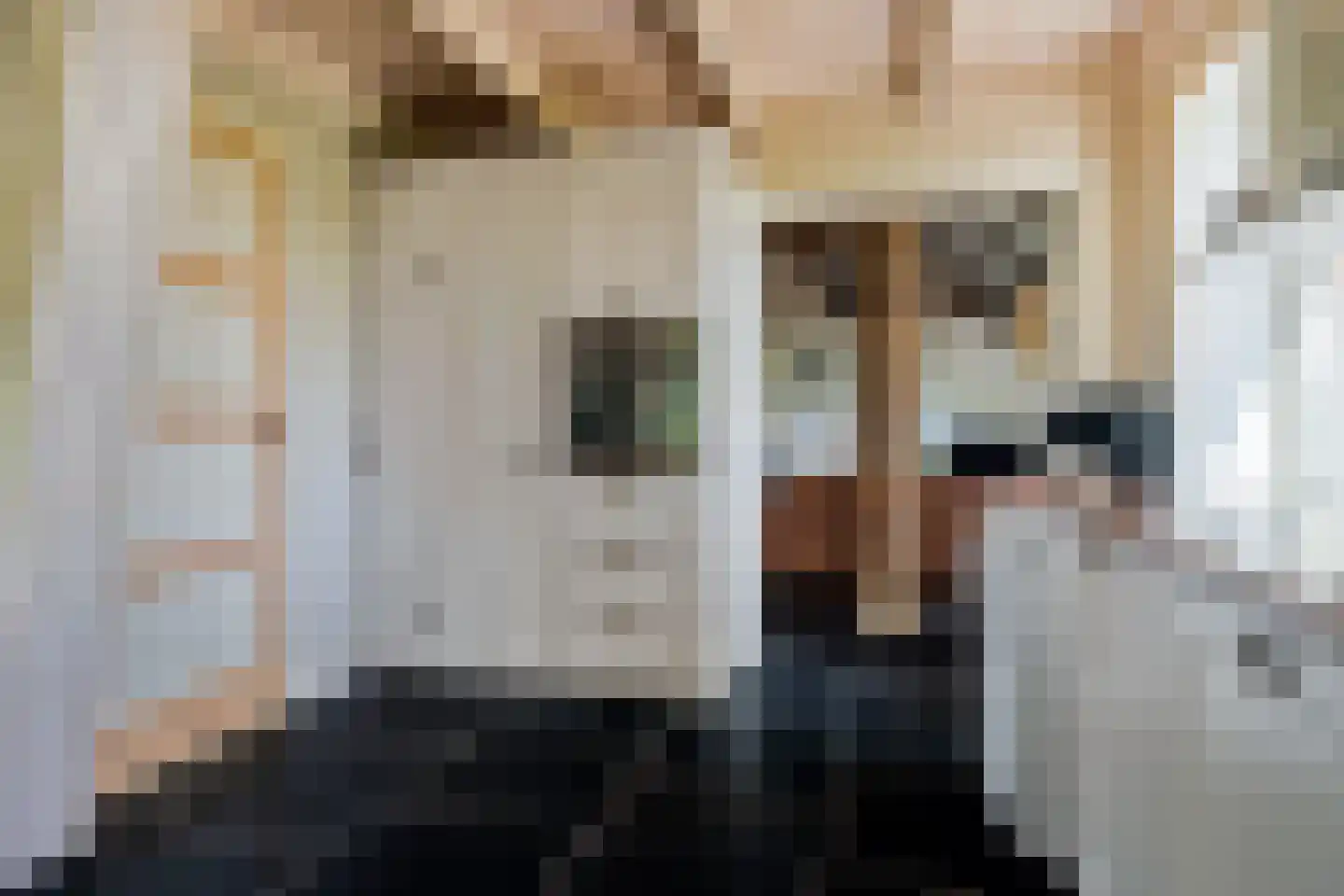 Bloksreed 2 Jubbega thumbnail 31