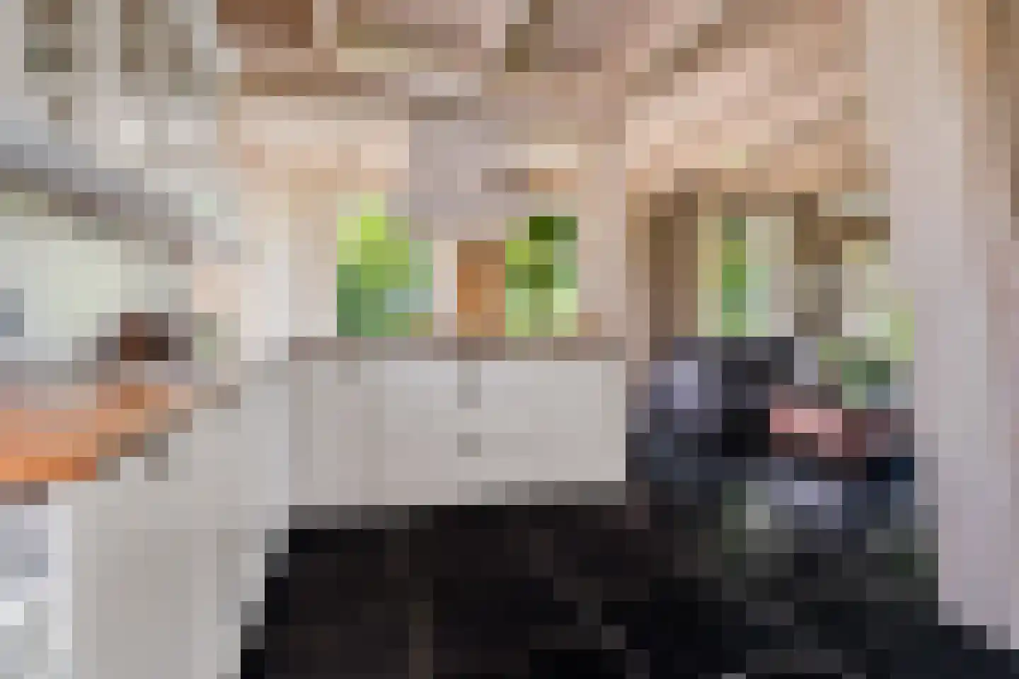 Bloksreed 2 Jubbega thumbnail 32