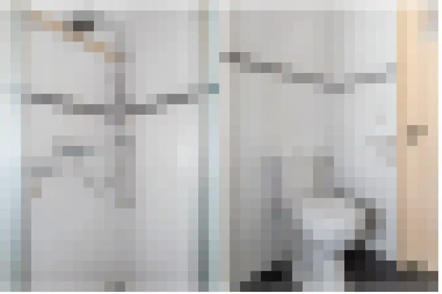 Bloksreed 2 Jubbega thumbnail 34