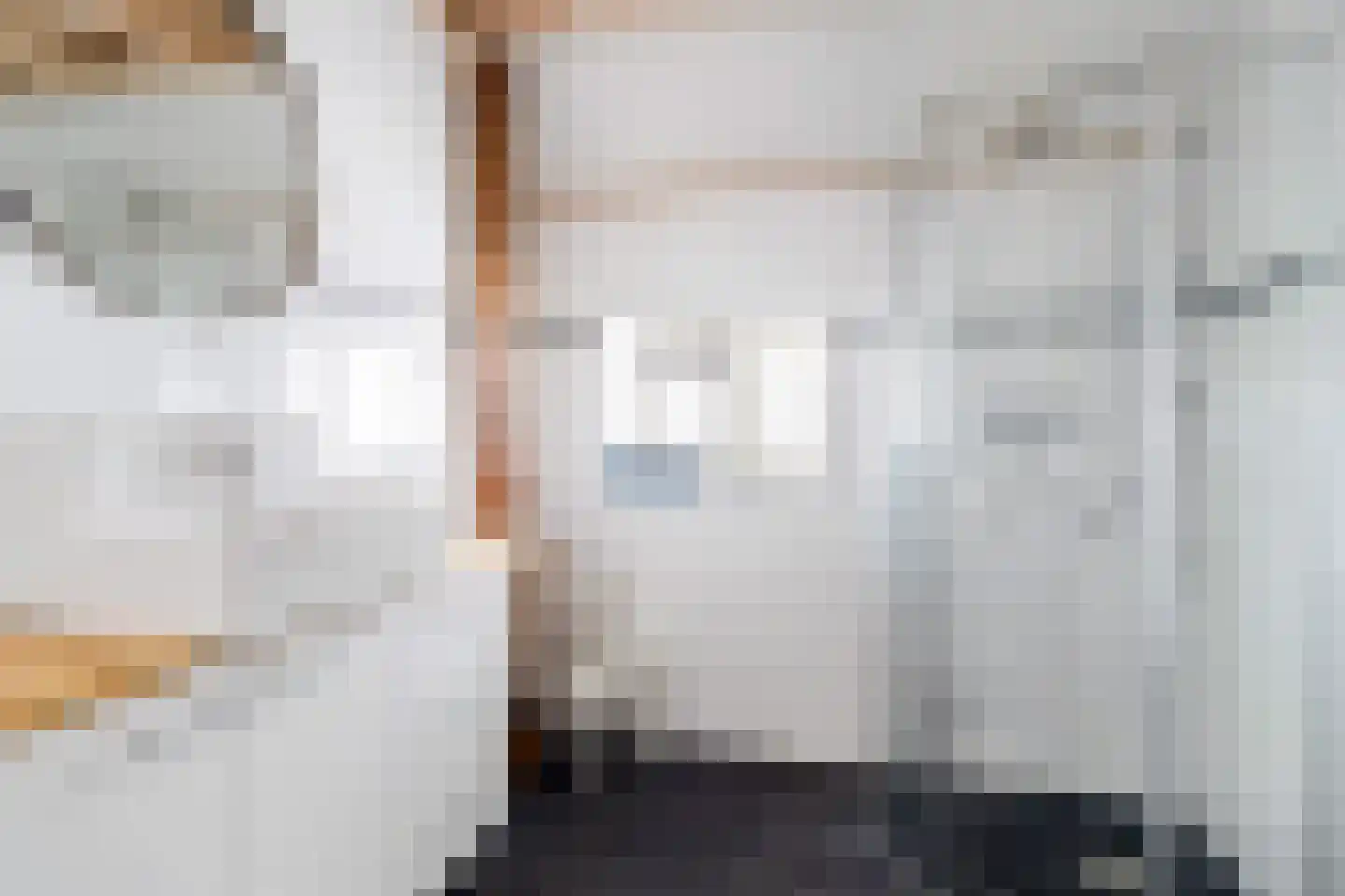 Bloksreed 2 Jubbega thumbnail 35