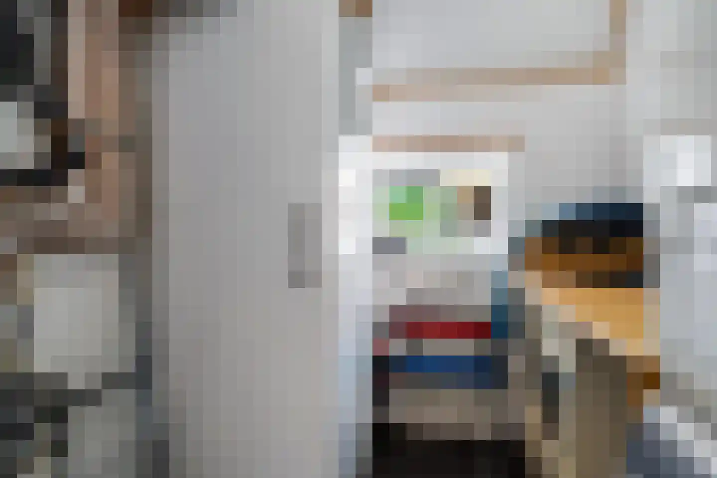 Bloksreed 2 Jubbega thumbnail 38