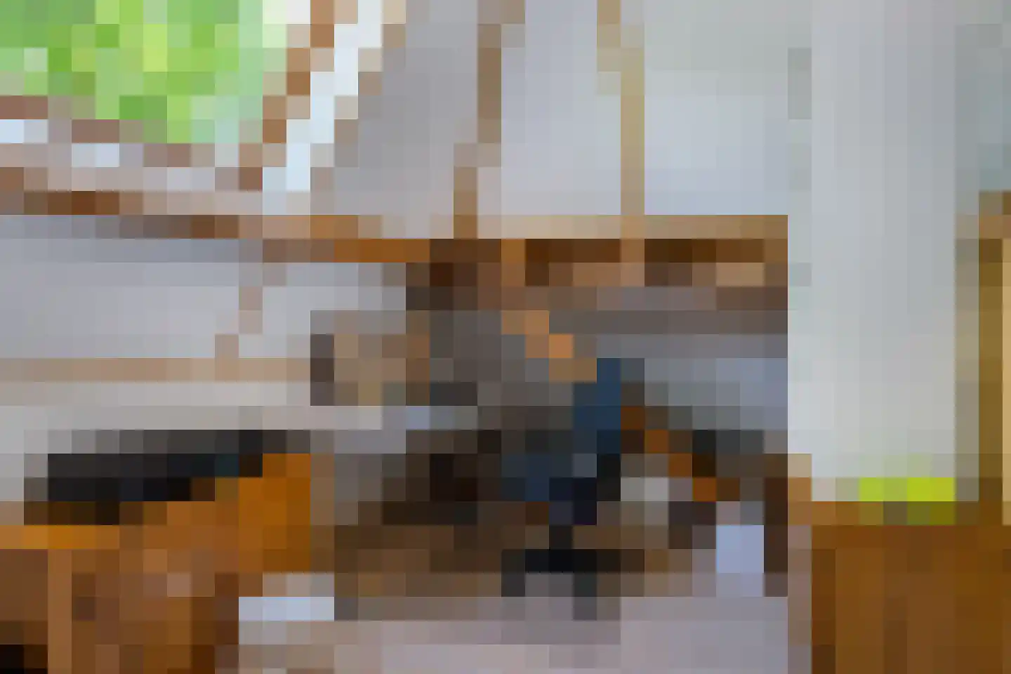 Bloksreed 2 Jubbega thumbnail 41