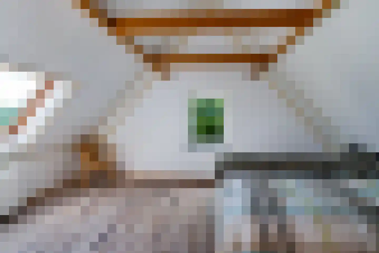 Bloksreed 2 Jubbega thumbnail 43