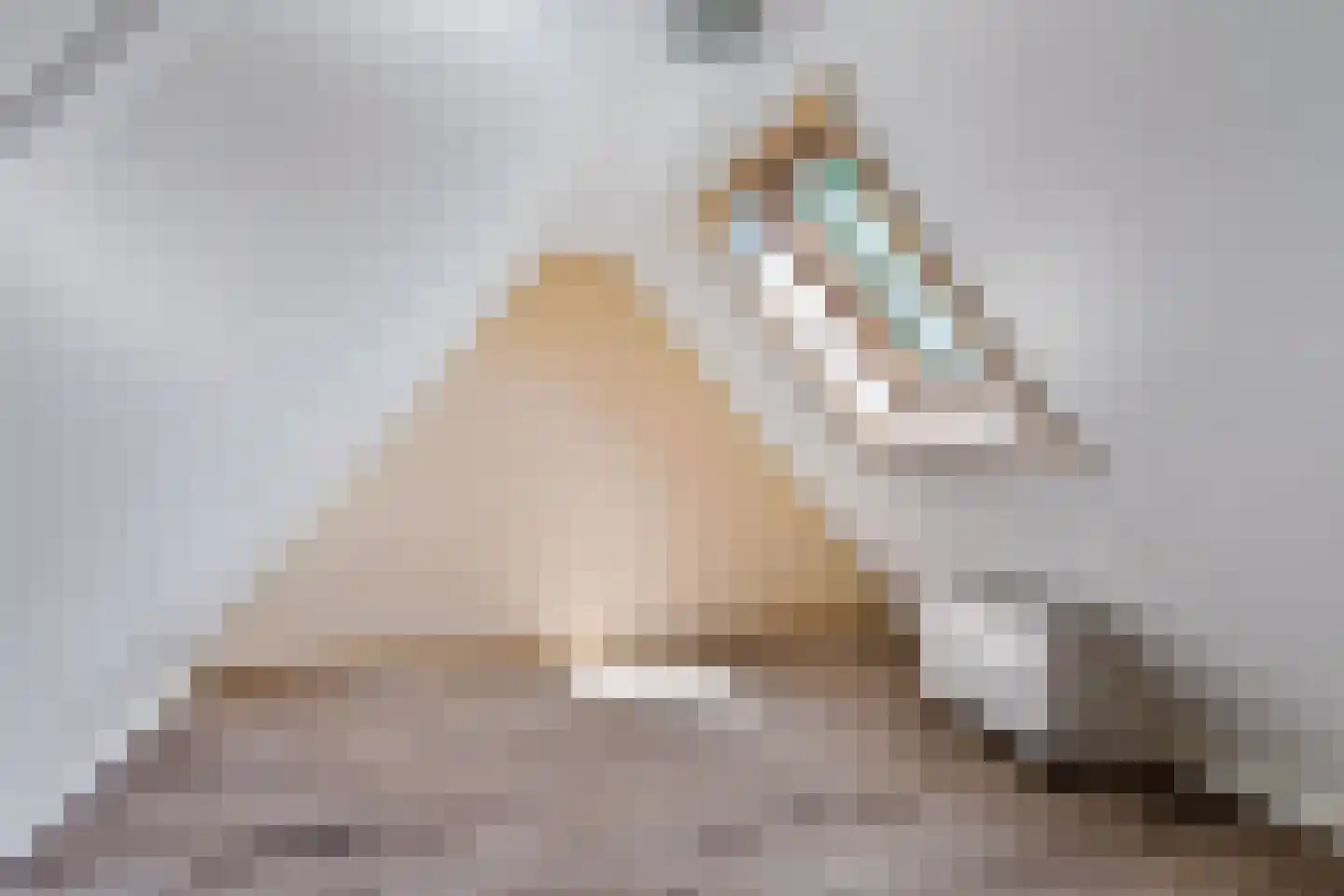 Bloksreed 2 Jubbega thumbnail 45