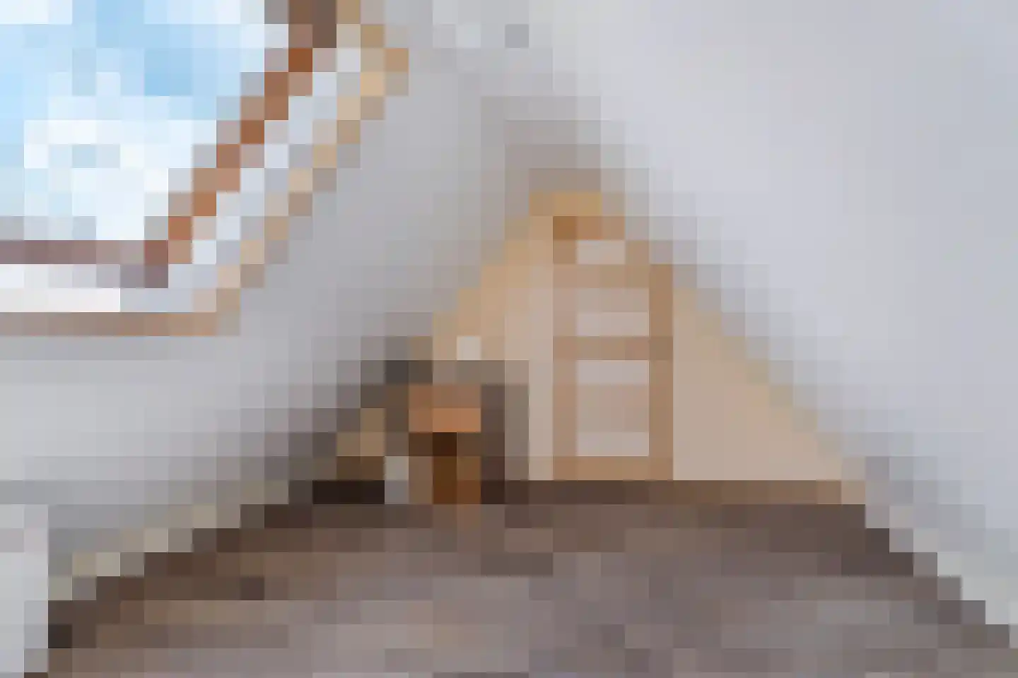 Bloksreed 2 Jubbega thumbnail 46