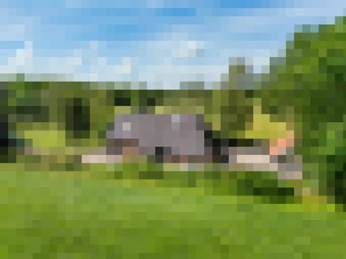 Bloksreed 2 Jubbega thumbnail 47