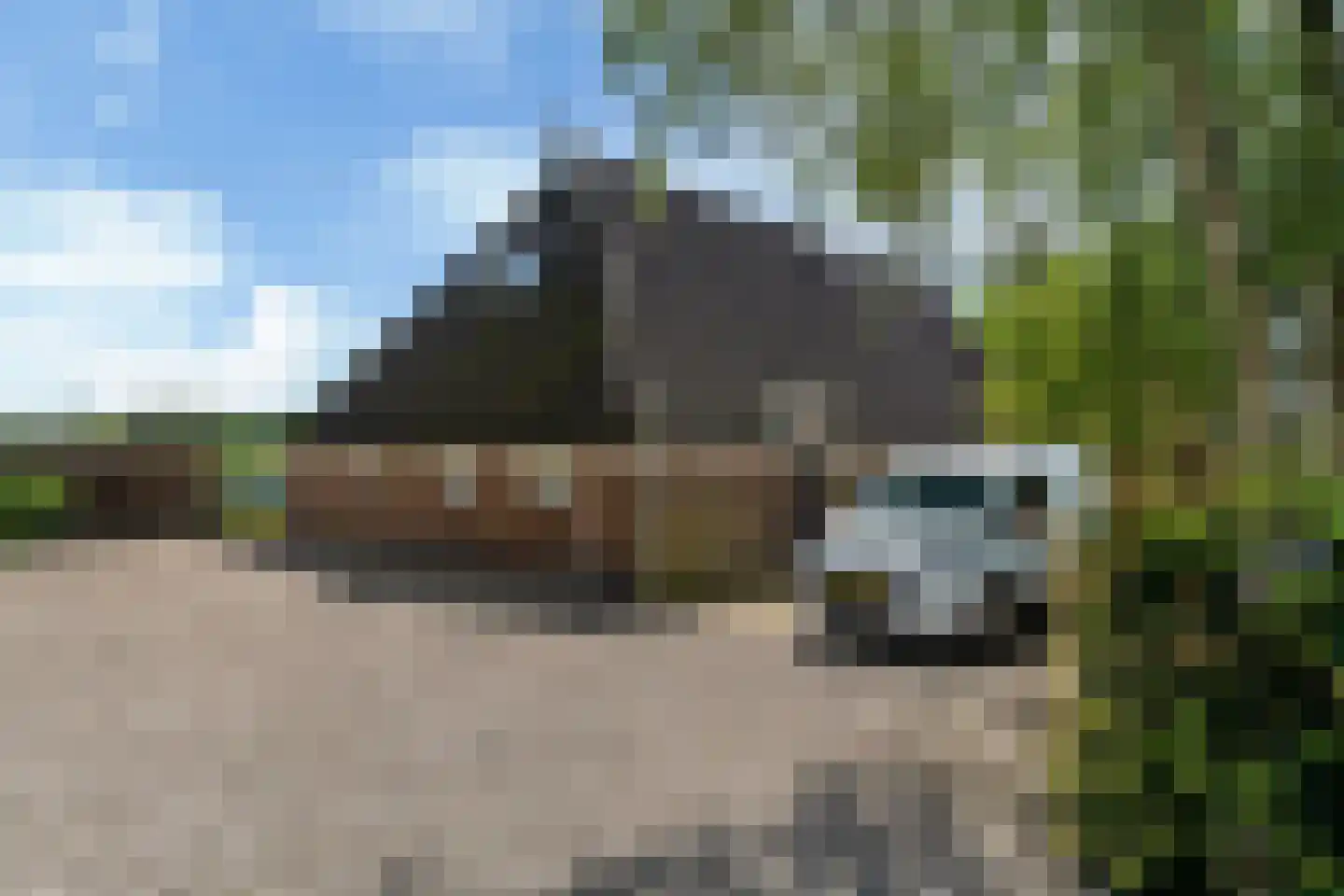 Bloksreed 2 Jubbega thumbnail 48