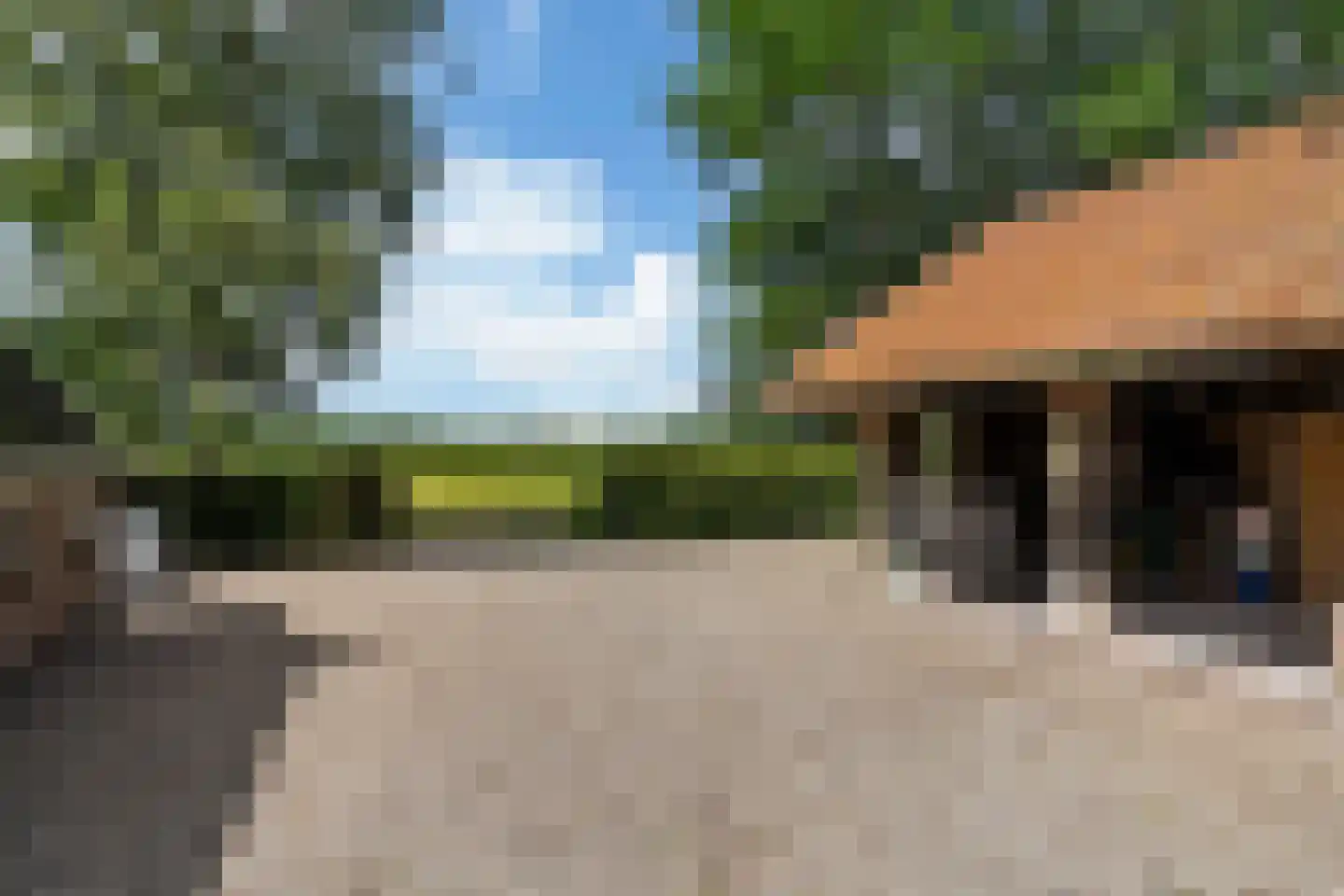 Bloksreed 2 Jubbega thumbnail 49