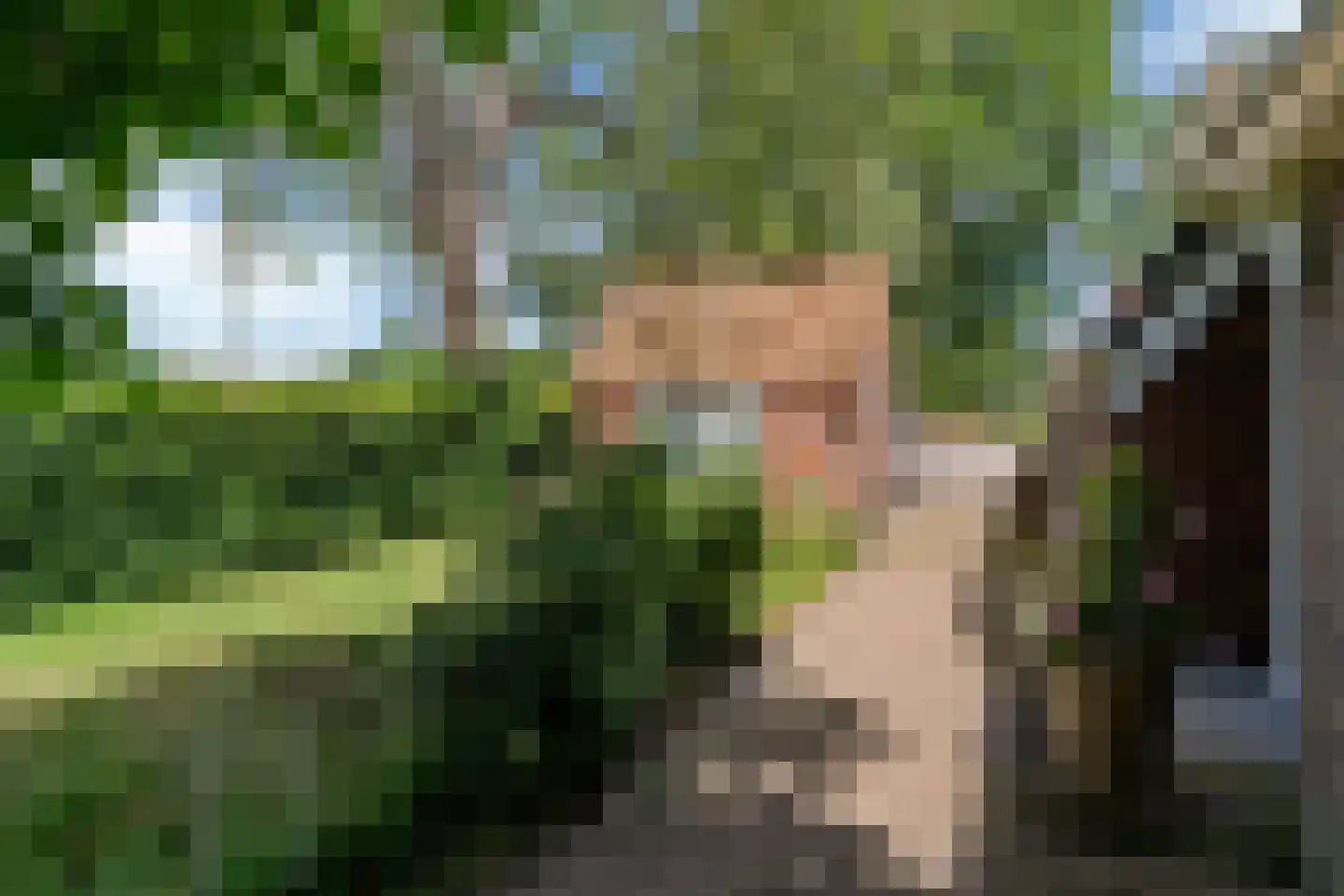 Bloksreed 2 Jubbega thumbnail 50