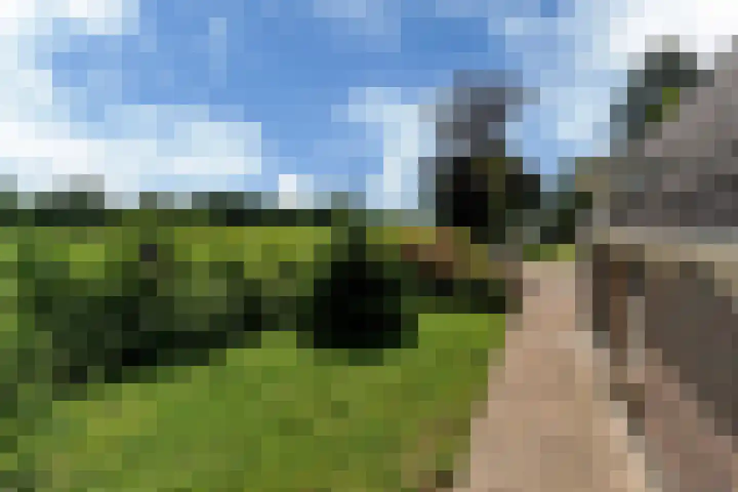 Bloksreed 2 Jubbega thumbnail 51
