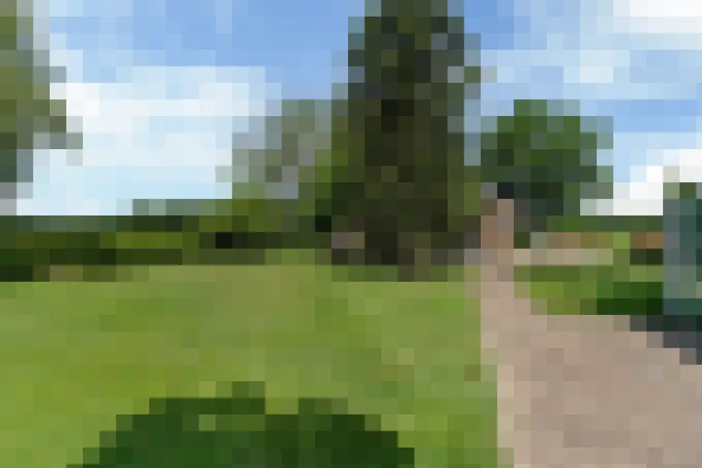 Bloksreed 2 Jubbega thumbnail 52