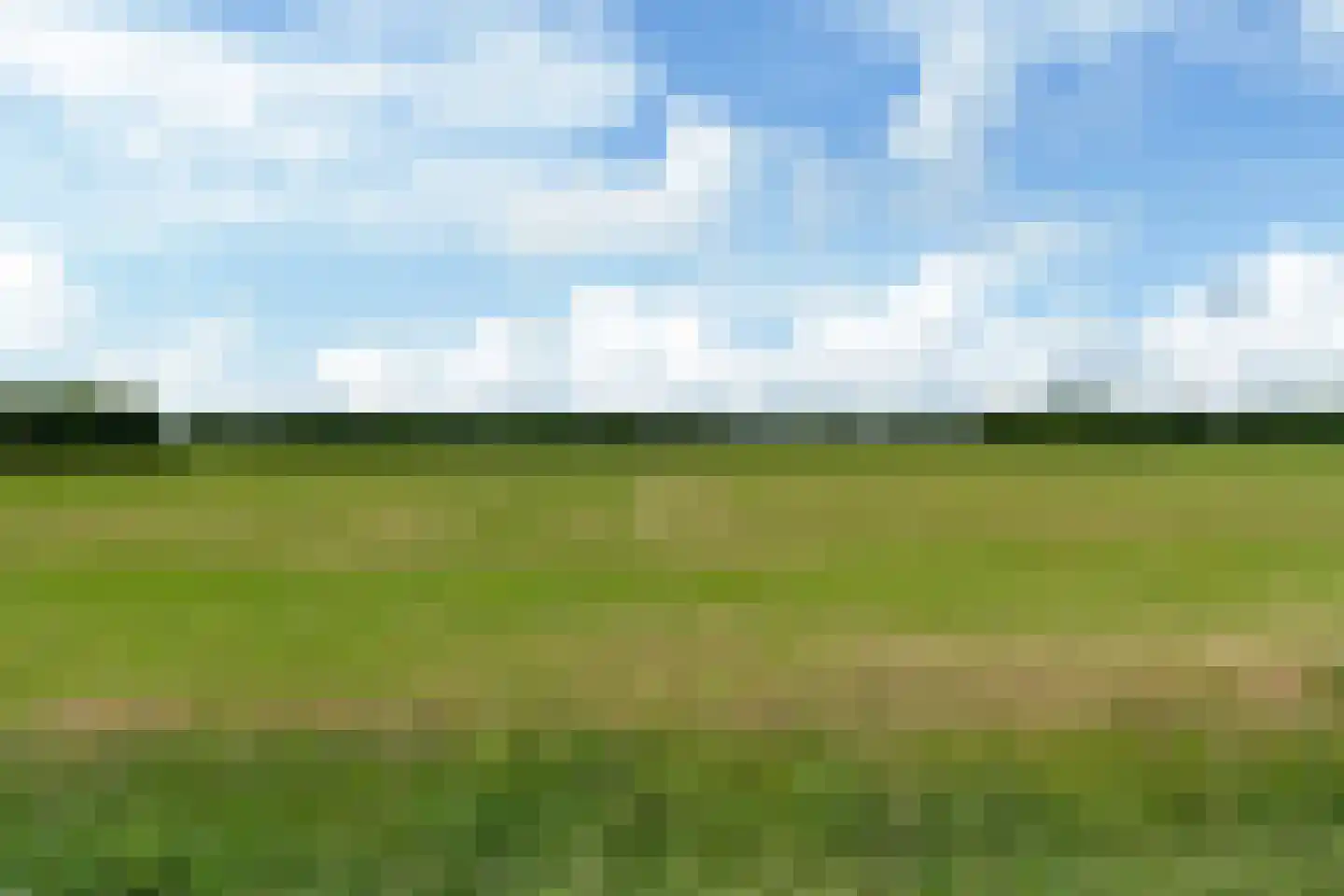 Bloksreed 2 Jubbega thumbnail 53