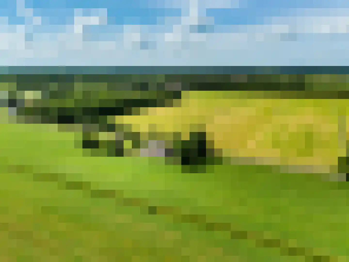 Bloksreed 2 Jubbega thumbnail 55