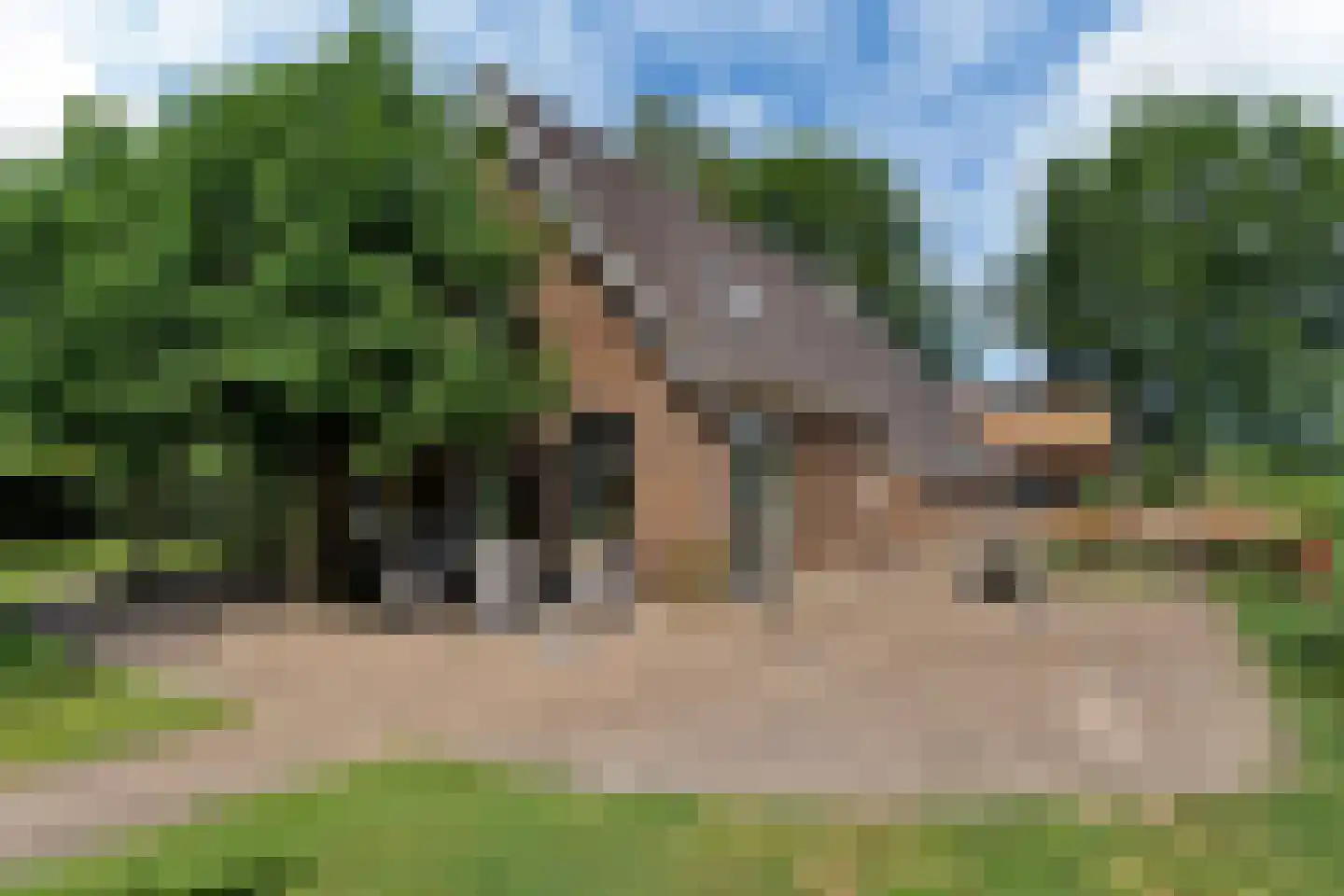 Bloksreed 2 Jubbega thumbnail 6