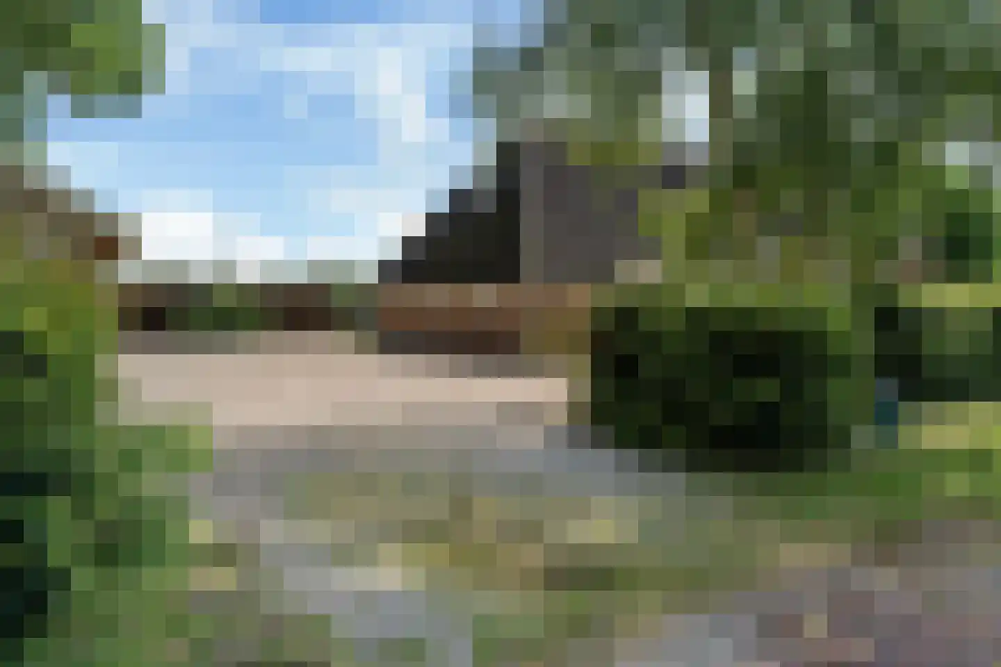 Bloksreed 2 Jubbega thumbnail 8