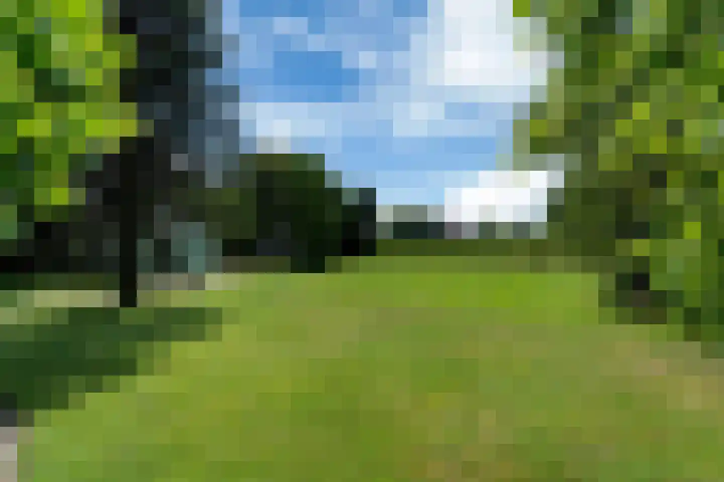 Bloksreed 2 Jubbega thumbnail 9