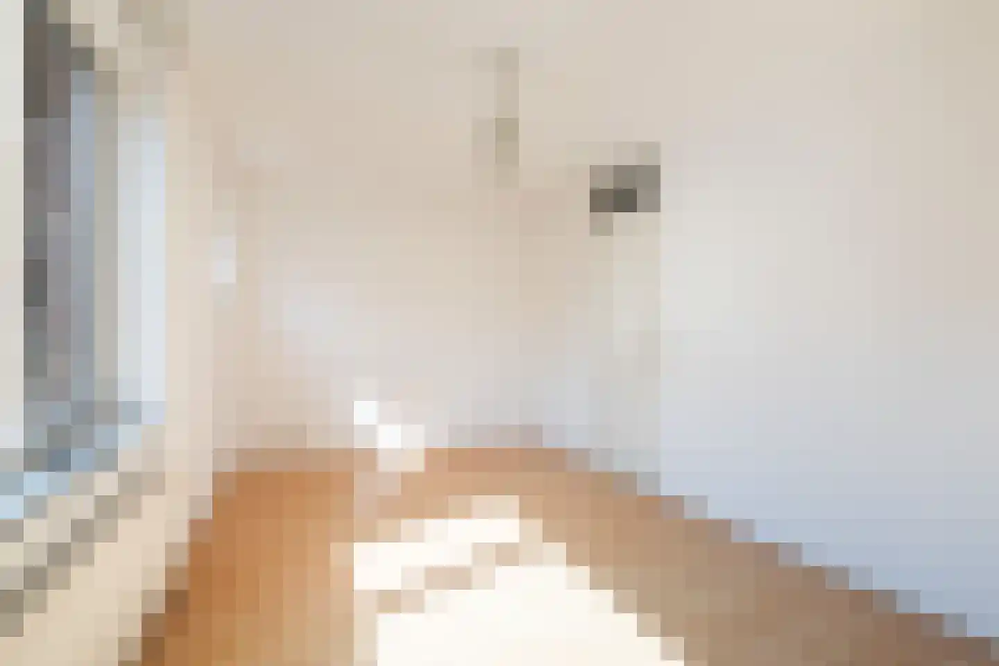 Blokstraat 1 Utrecht thumbnail 18