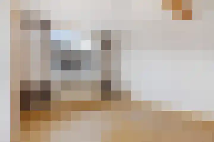 Blokstraat 11 Utrecht thumbnail 21